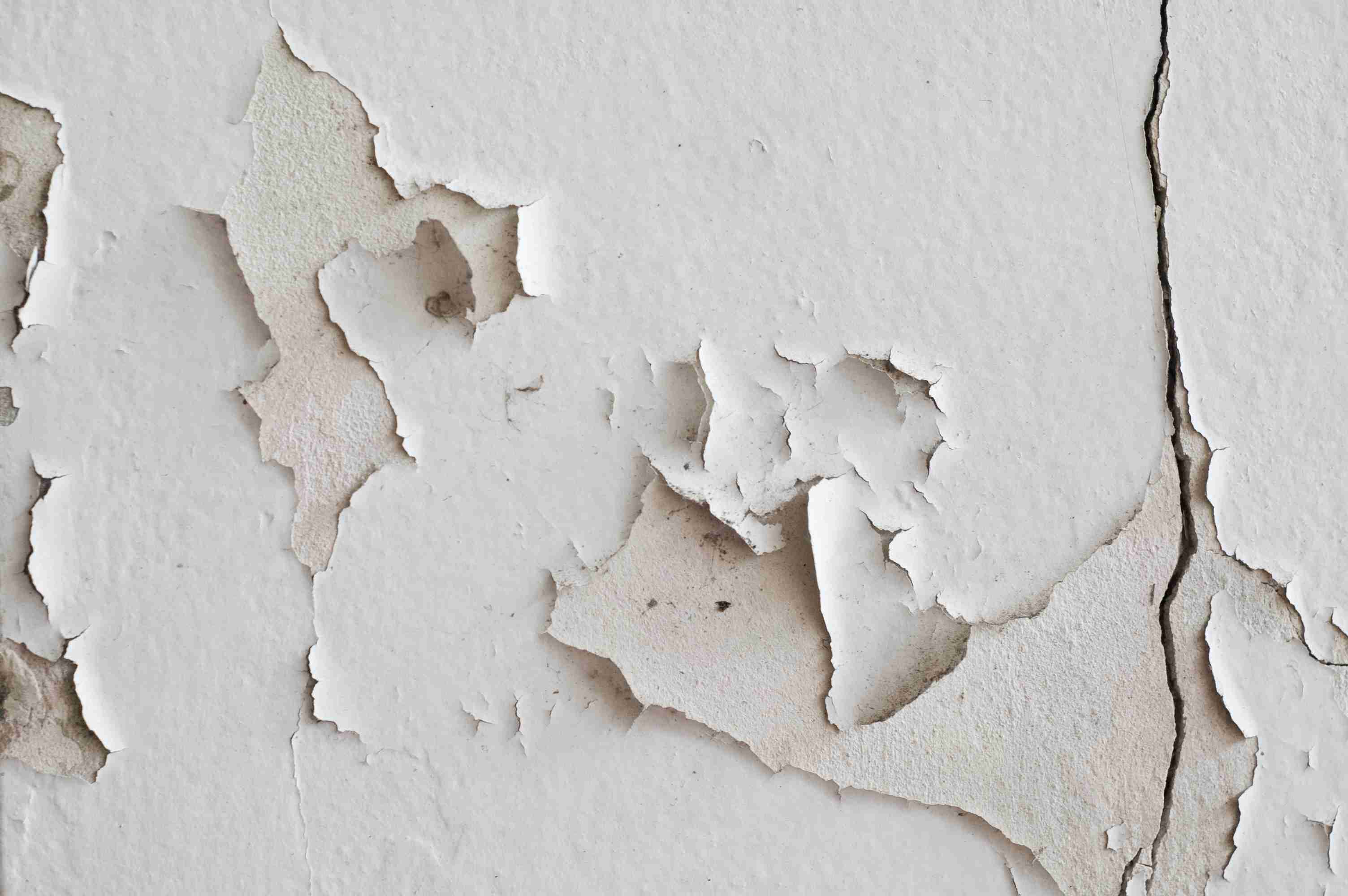 Paint peeling of a wall