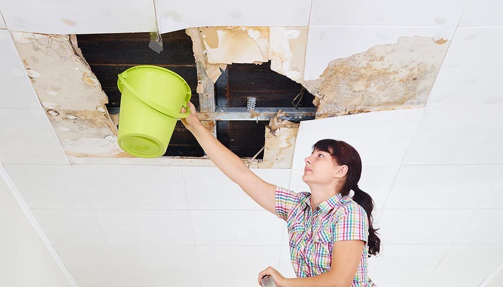 A girl holding a bucket under a leaking roof